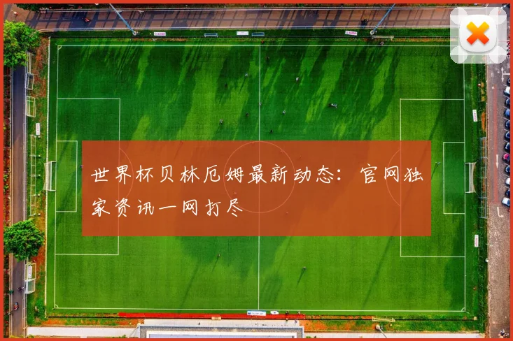 世界杯贝林厄姆最新动态：官网独家资讯一网打尽