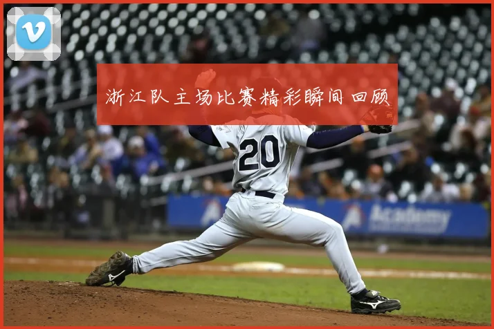 浙江队主场比赛精彩瞬间回顾
